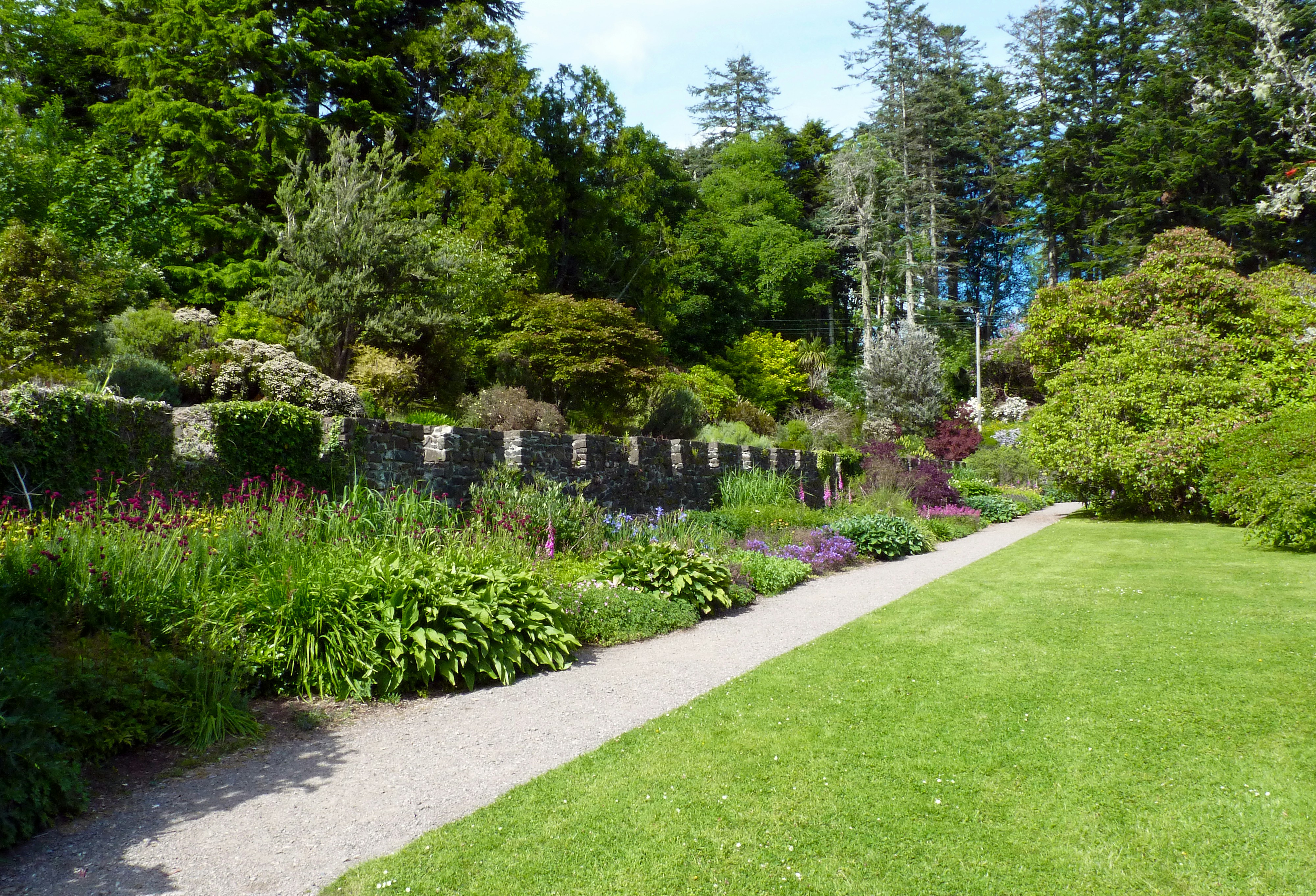 Lush residential garden bed with plants and walkway