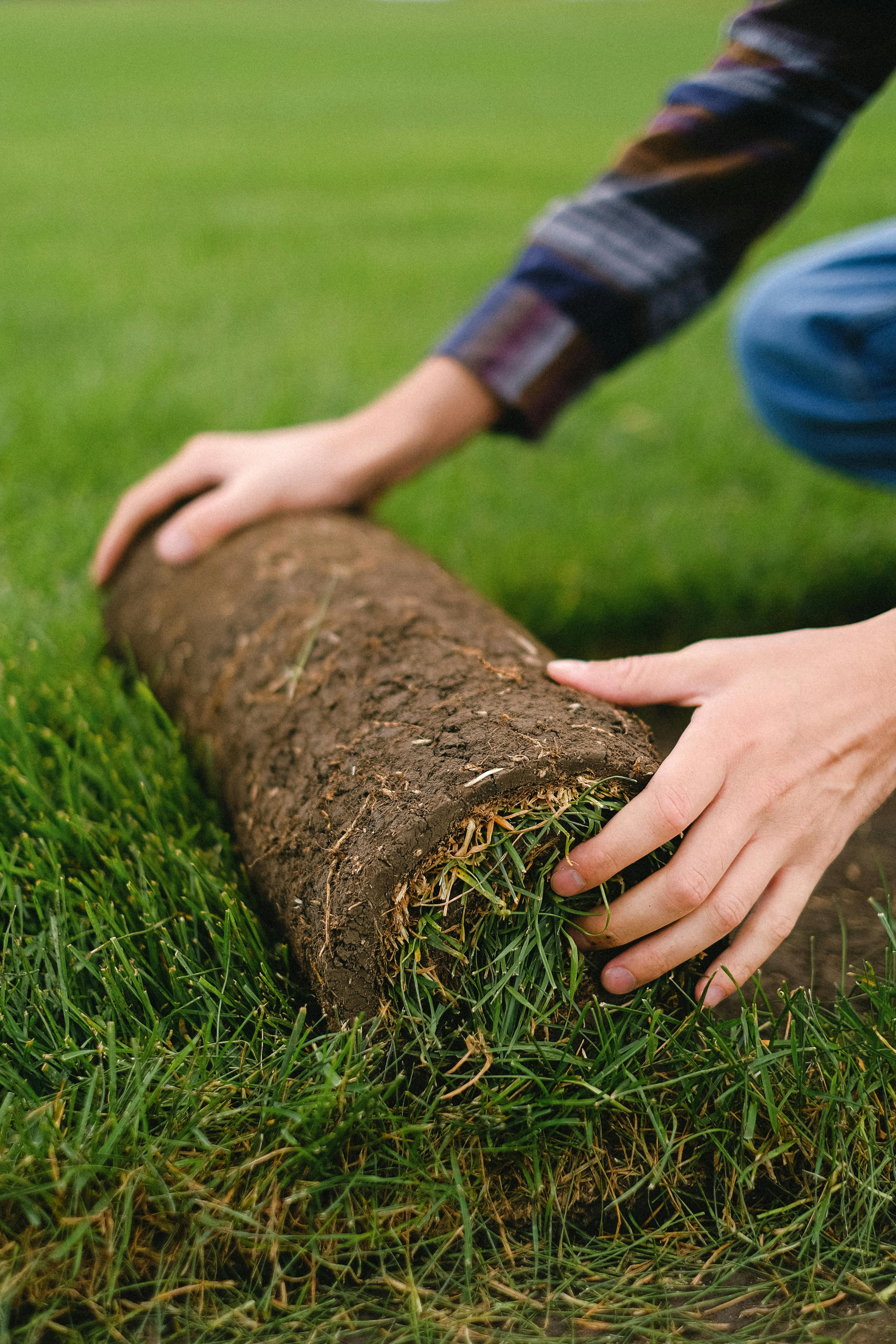Hands rolling out fresh sod on a prepared lawn